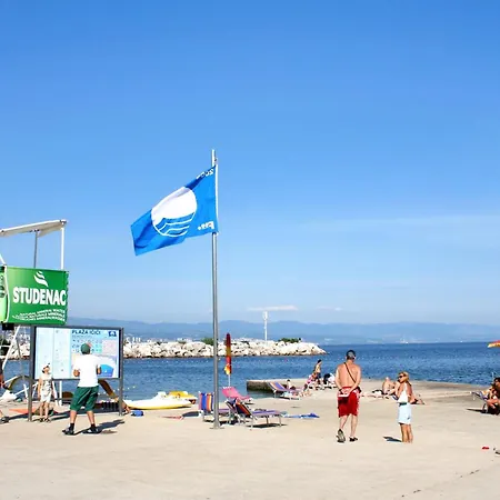 With Swimming Pool Icici, Opatija - 24377