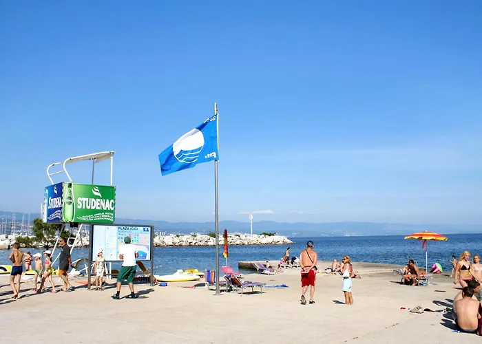 With Swimming Pool Icici, Opatija - 24377